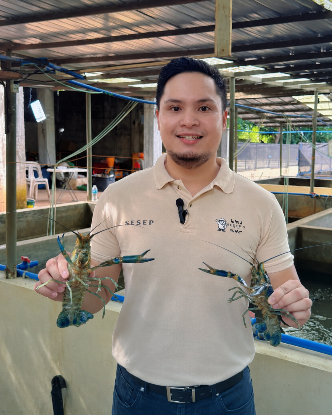 Sesep's Farm, the number one Red Claw Crayfish farm in the Philippines