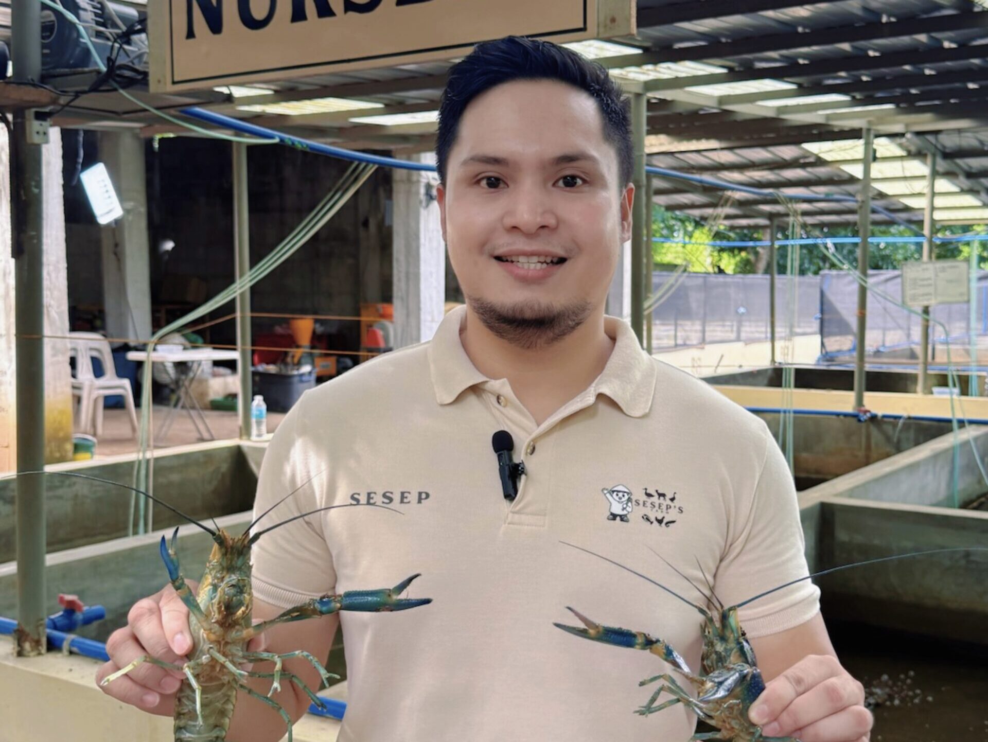 Tech to Tanks: The Story of IT Farmer Behind Bulacan's Crayfish Hub