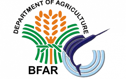 BFAR logo