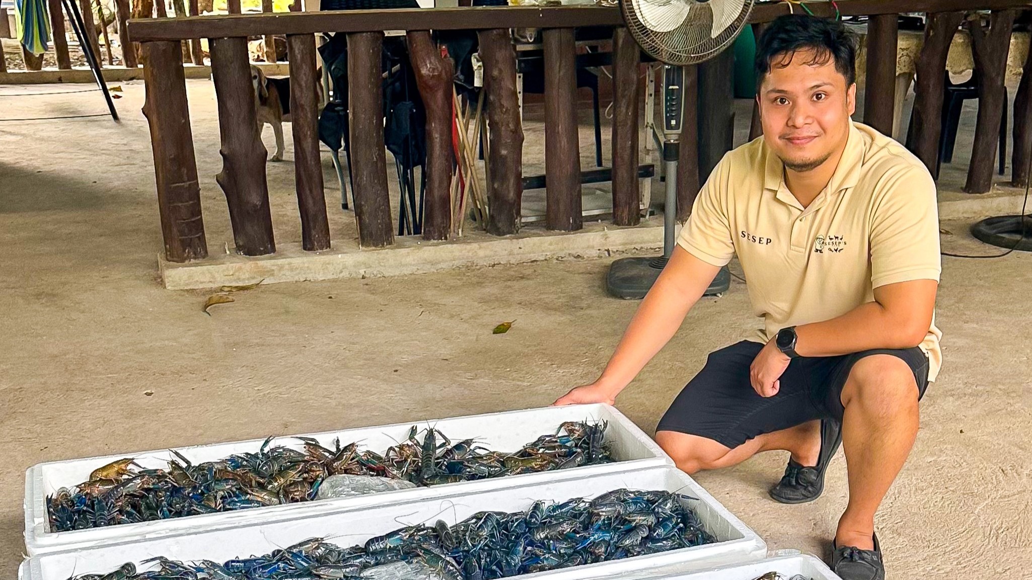 First importation from Sumatra, Indonesia, the start of the Taguro Line at Sesep's Farm