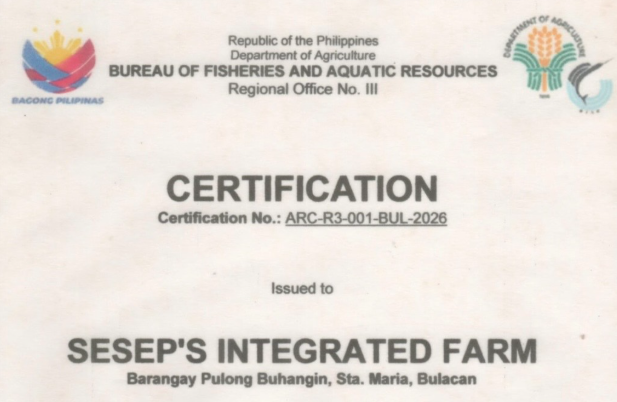 The First Certified Red Claw Crayfish Hatchery in the Philippines